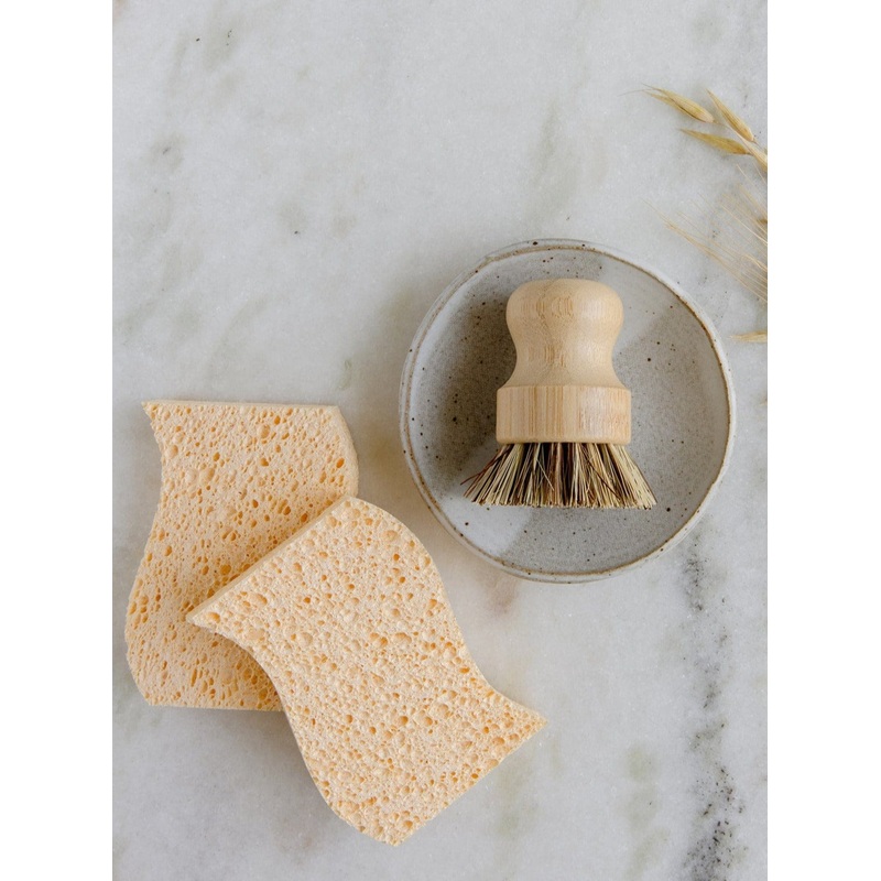 Dish Sponge Mini Kit