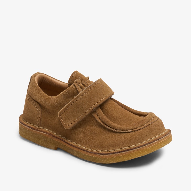 bisgaard holden v brandy