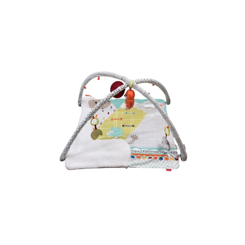 Fisher Price Perfect Sense Deluxe Gym