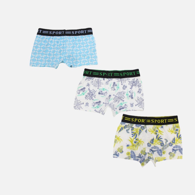Multicolored Boxer Shorts (Pack Of 3)