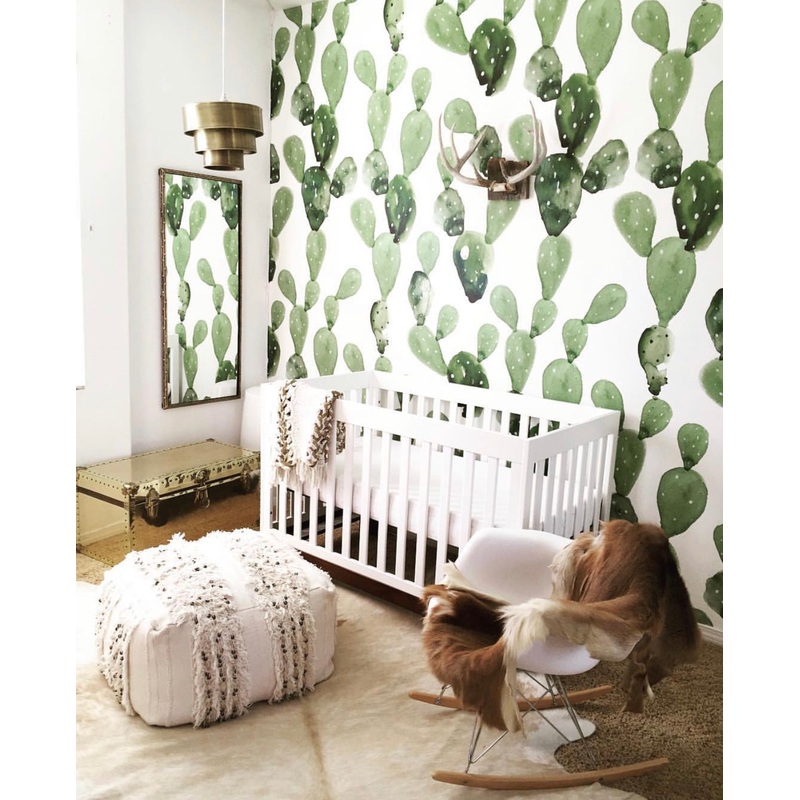 Desert Cactus Wallpaper