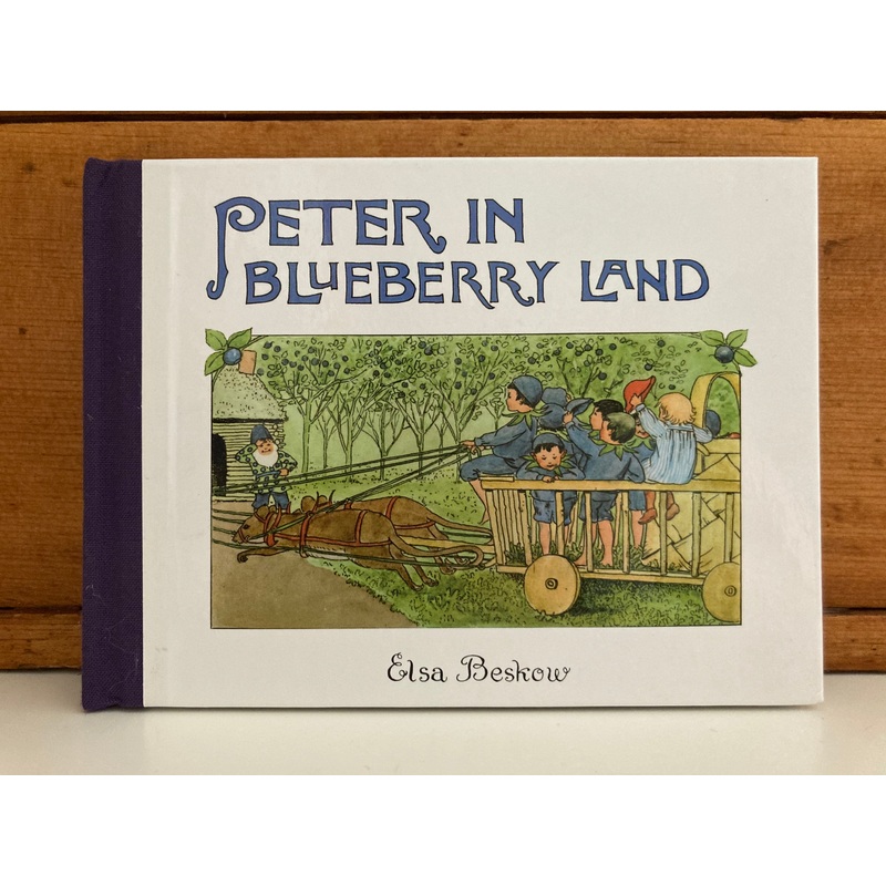 Children’s Picture Book – PETER IN BLUEBERRY LAND, mini-size