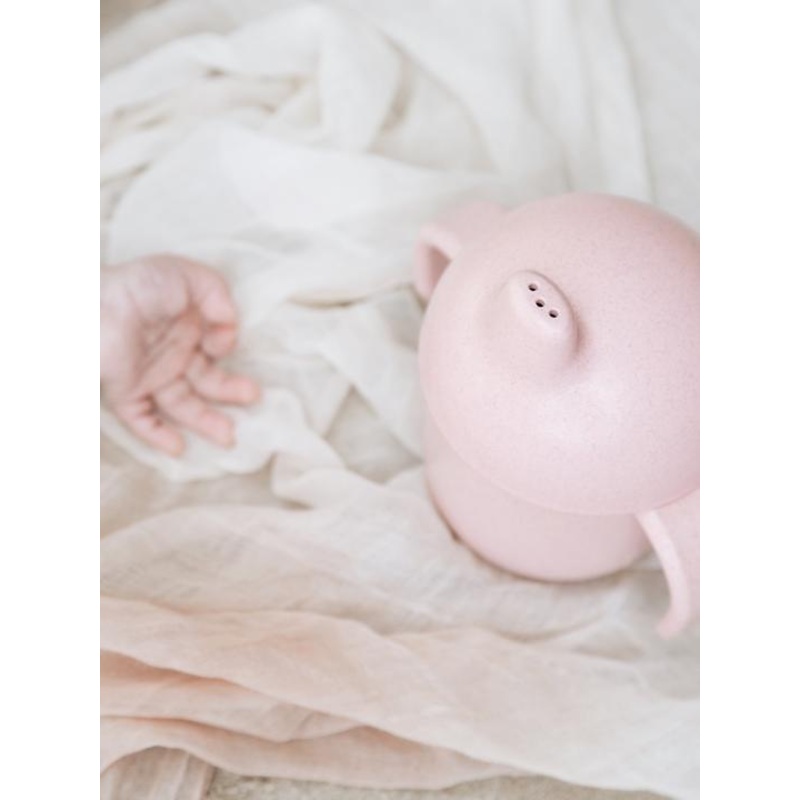 Wheat Straw Sippy Cup in Rose