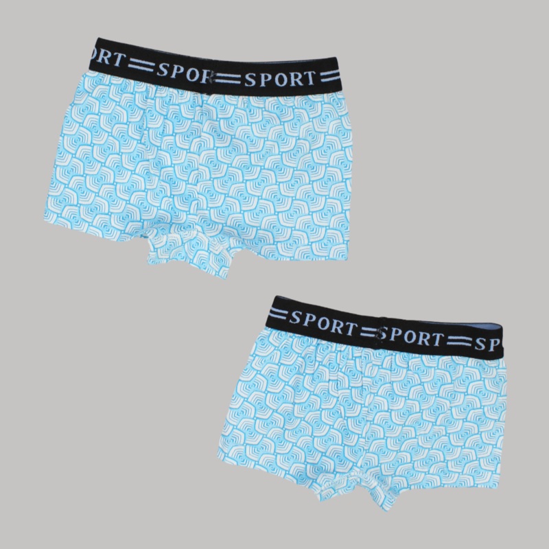 Bluish Boxers (Pack Of 2)