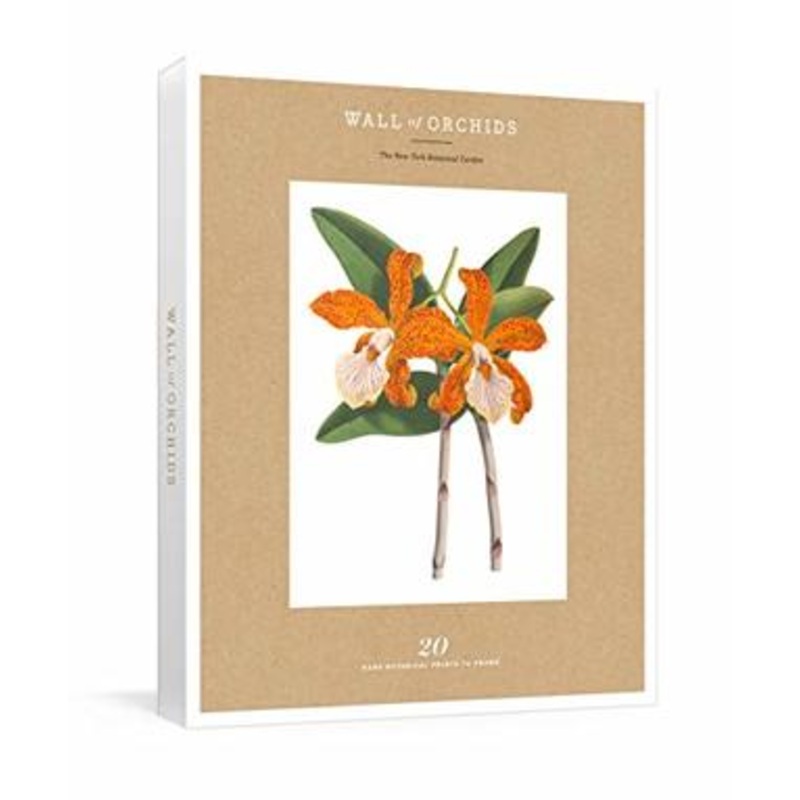 Wall of Orchids: 20 Rare Botanical Prints to Frame