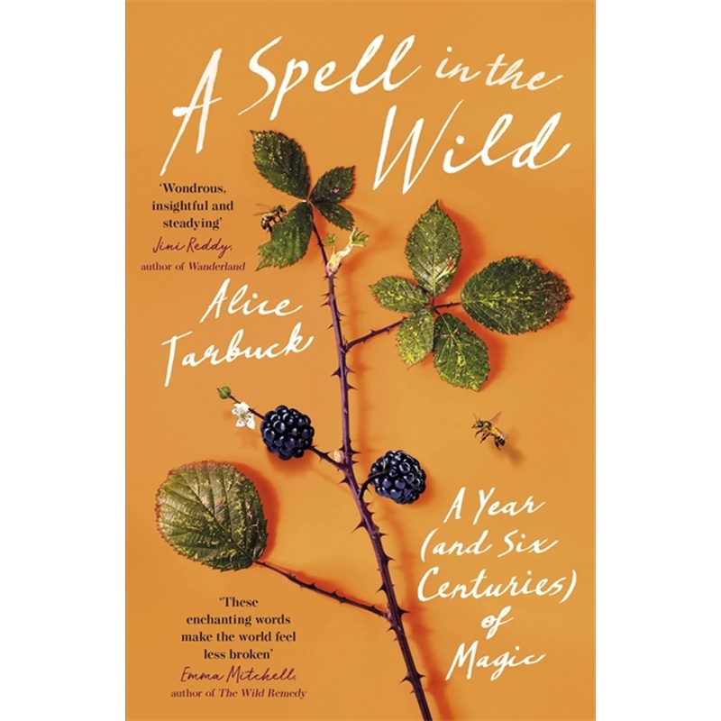 A Spell in the Wild: A Year – Paperback