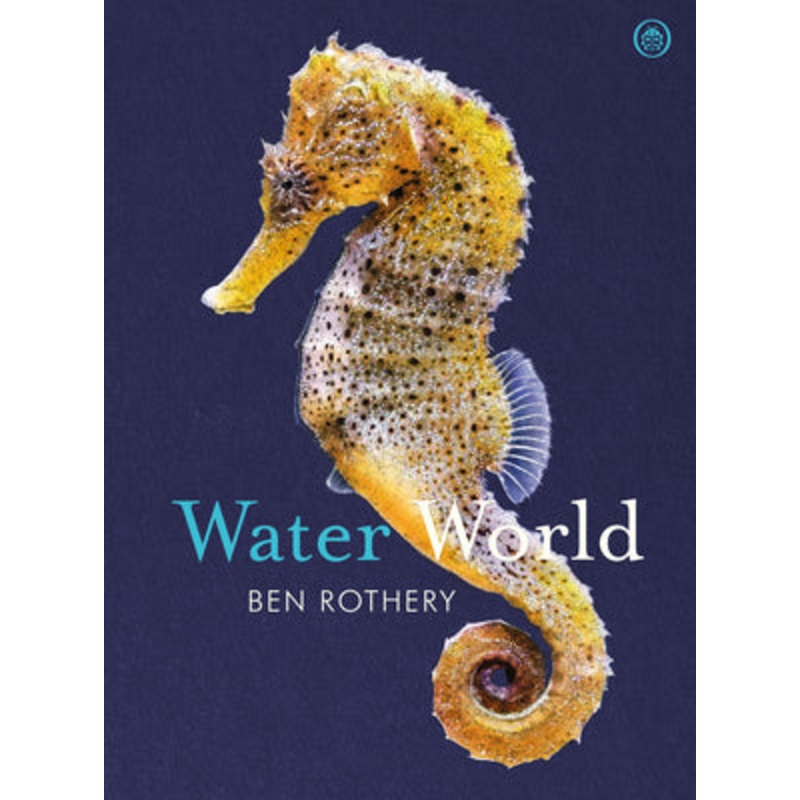 Water World – Hardback