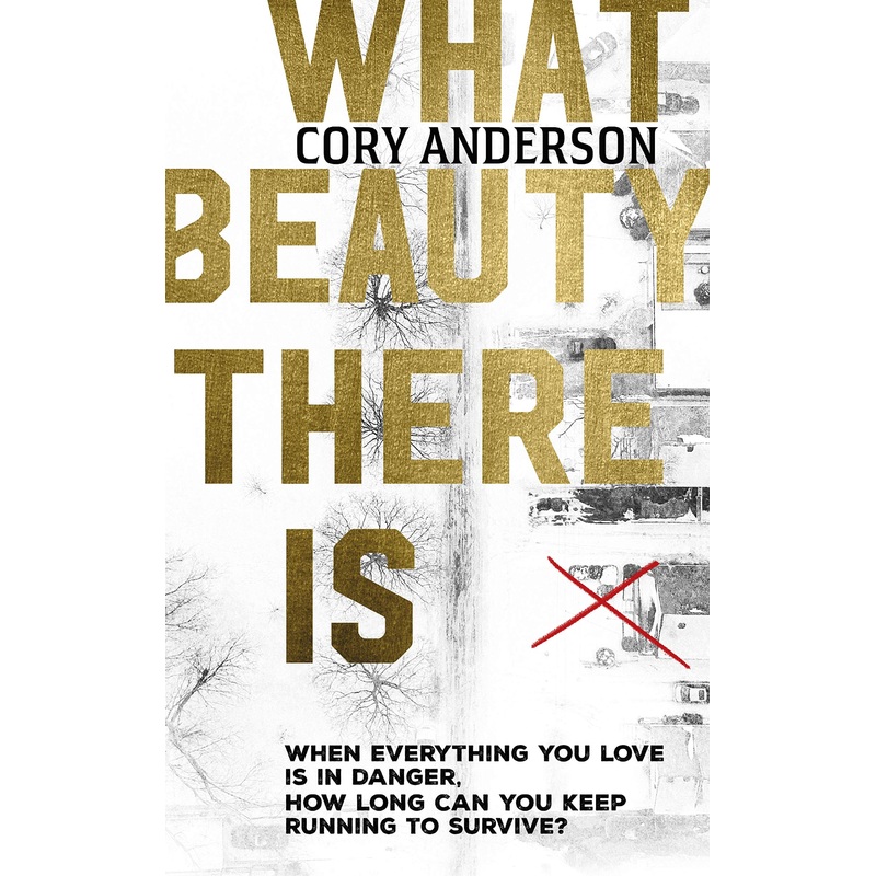 What Beauty There is #1 – Hardback