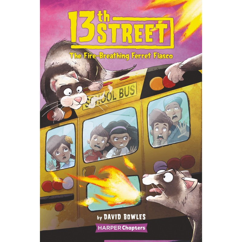 13th Street #2: The Fire-Breathing Ferret Fiasco – Paperback