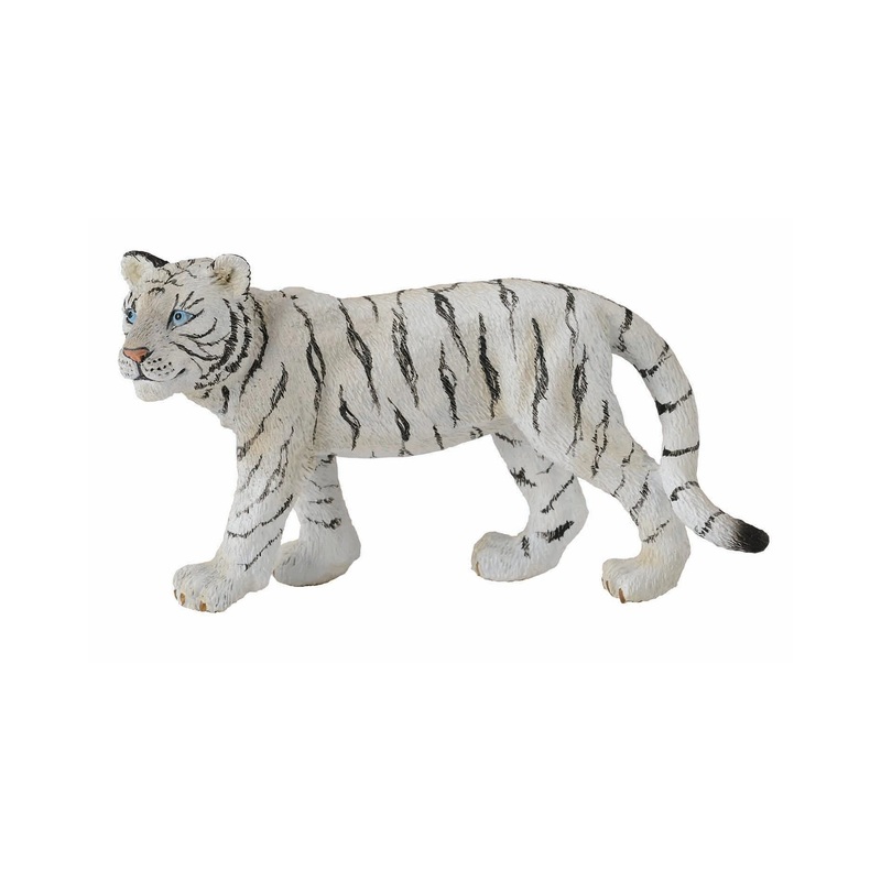 CollectA White Tiger Cub Walking Medium