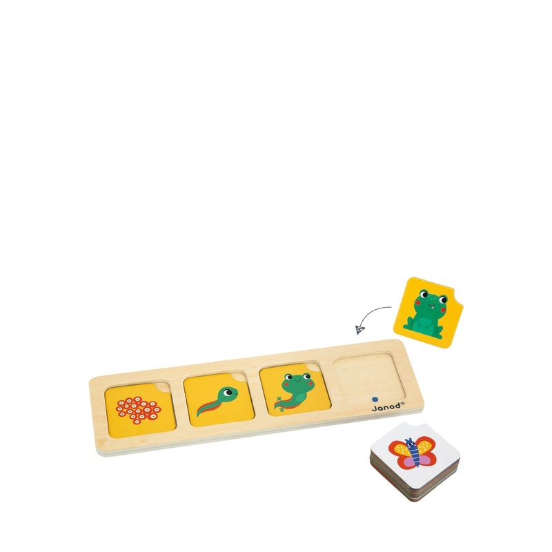 Sequences Cards – The Garden