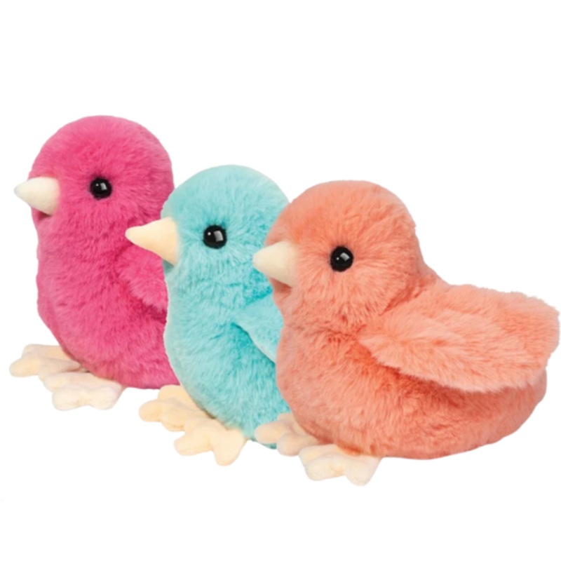 Colorful Chicks Assorted|Dark Pink|Orange|Blue