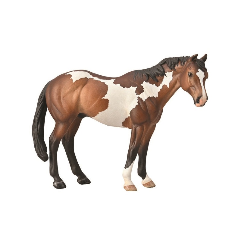 CollectA XL Apoaloose Stallion Bay