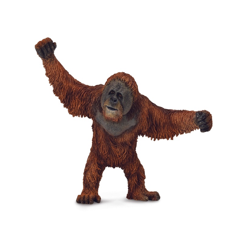 CollectA L Orangutan