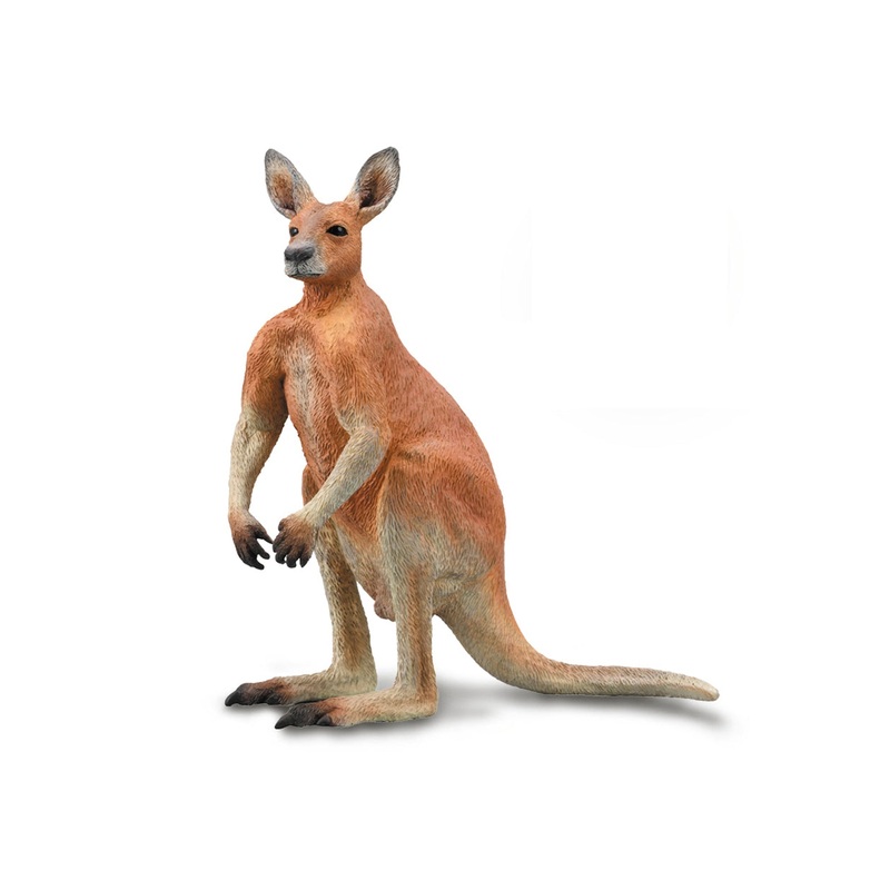 CollectA Red Kangaroo Male L