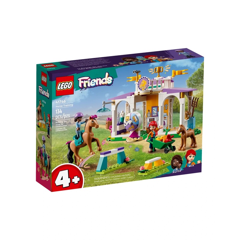 41746 Horse Training