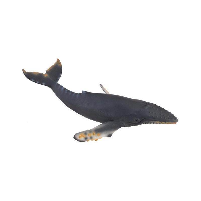 CollectA XL Hump Back Whale