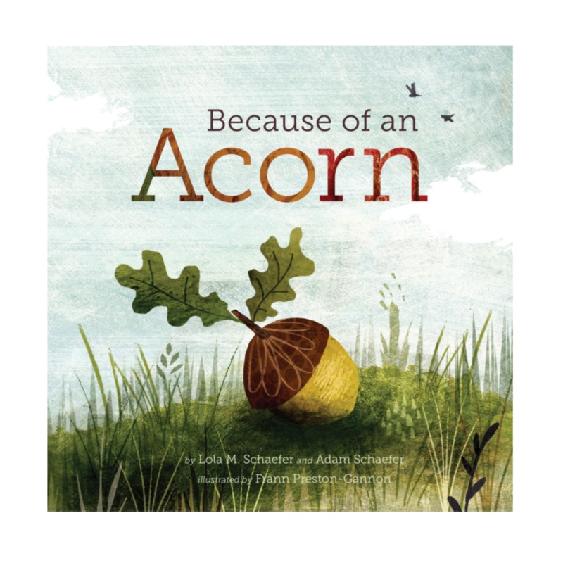Because of an Acorn – Hardcover