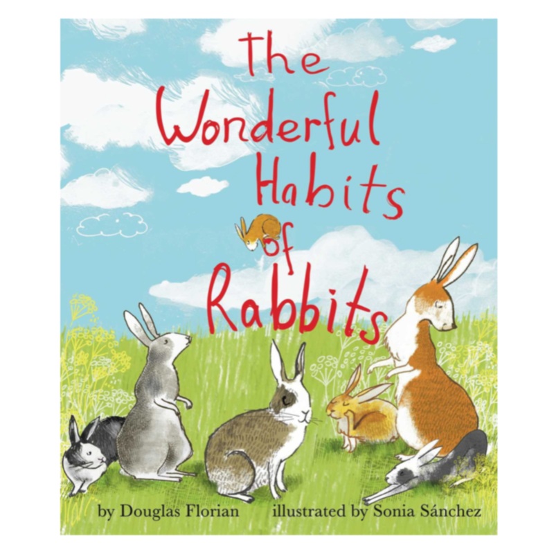 The Wonderful Habits of Rabbits – Board Book