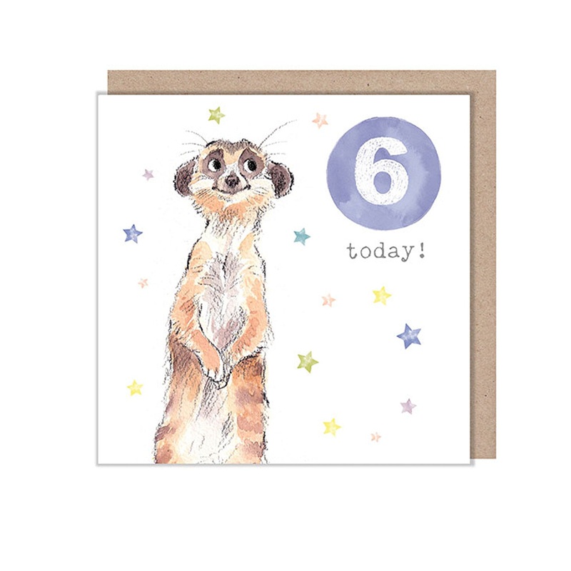 Waterlyn Paper Shed Meerkat Age 6