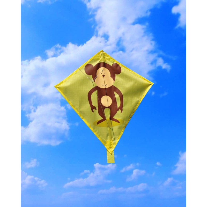 Freeplay Kids Kite Mini – Assorted