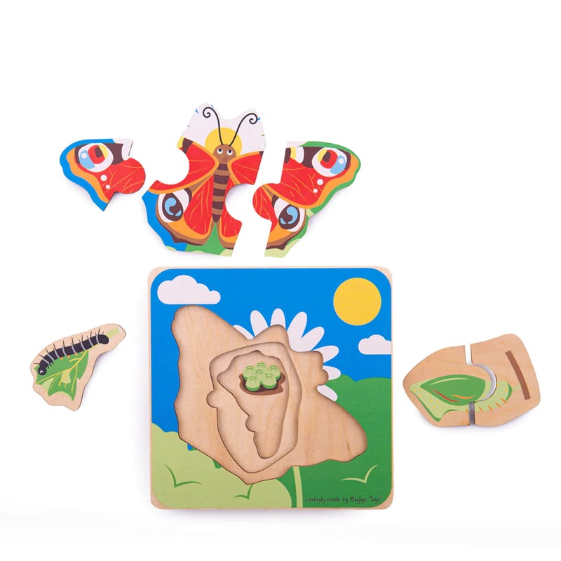 Lifecycle Layer Puzzle – Butterfly