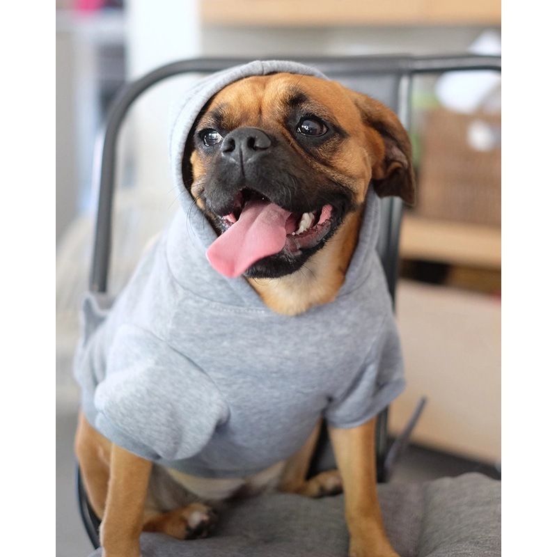 Louie Living Hoodie Grey Small