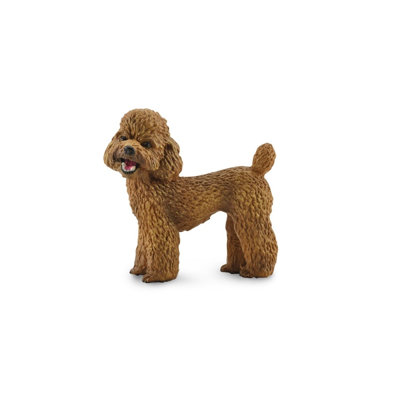CollectA Poodle M