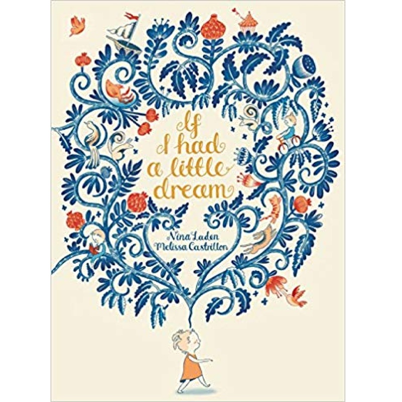 If I Had a Little Dream – Hardcover