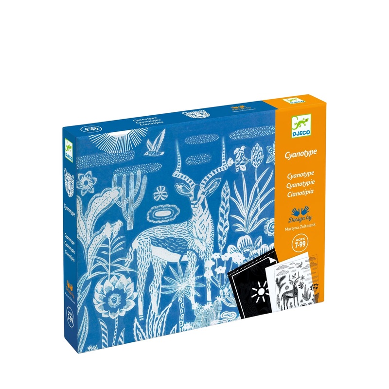 Light Sensitive Paper Craft Set – The Savannah