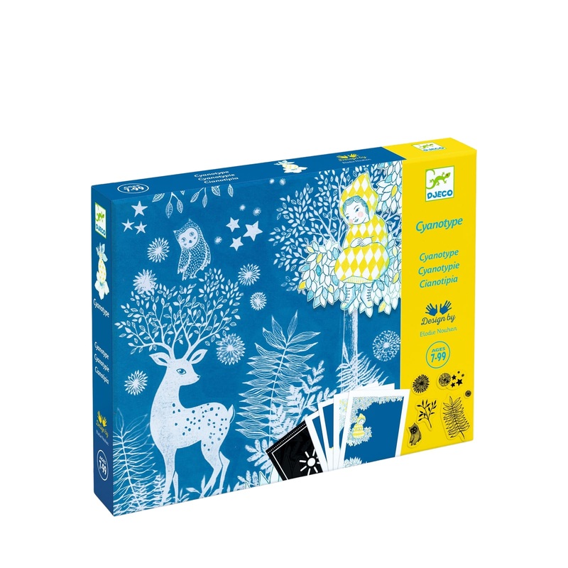 Light Sensitive Paper Craft Set – Moonlight Scenes