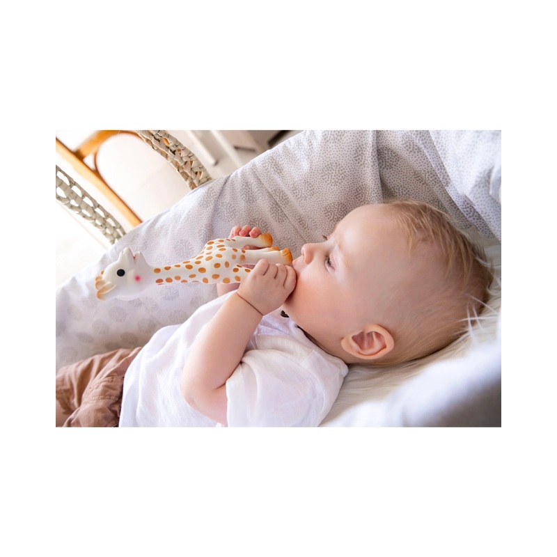 Sophie The Giraffe Teething Toy