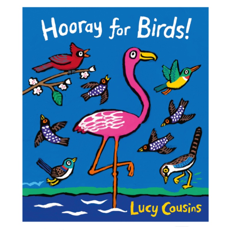 Hooray for Birds! – Board Book