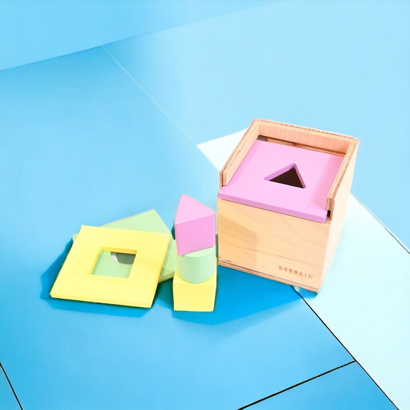 Ultimate Permanence Box with Shape Sorters  Educational Toys for baby
