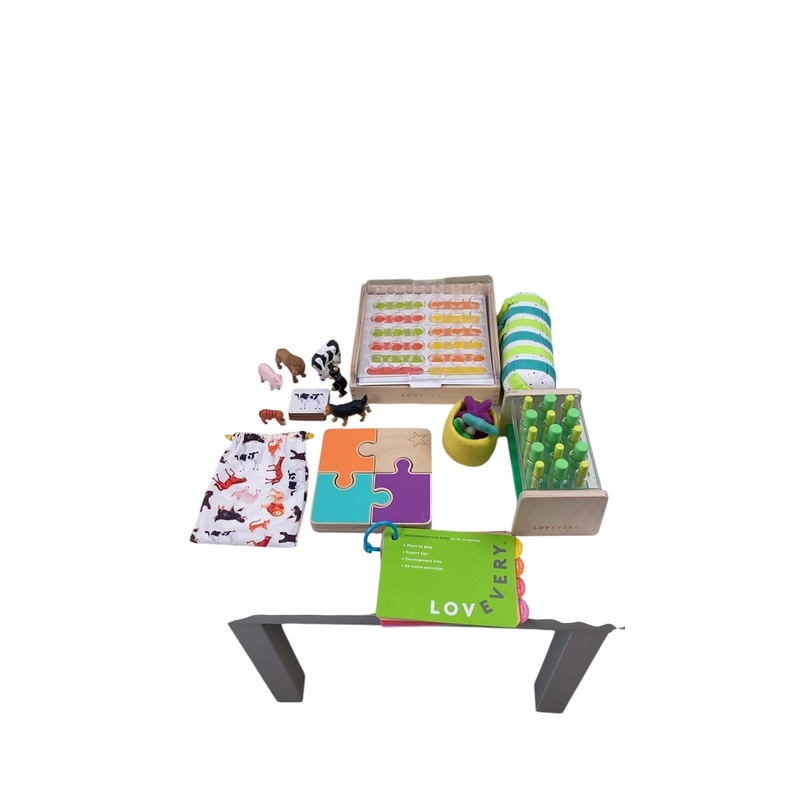 Lovevery The Companion Play Kit
