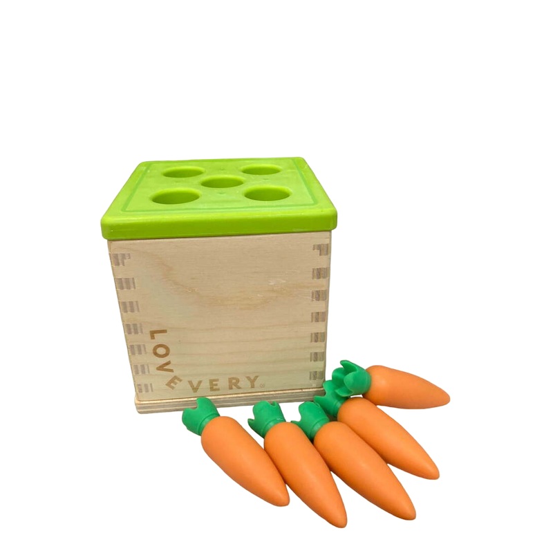 Lovevery Wooden Coin Bank Set