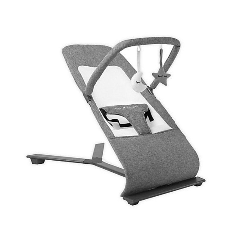 Baby Delight Go With Me Alpine Deluxe Portable Bouncer, Charcoal Tweed