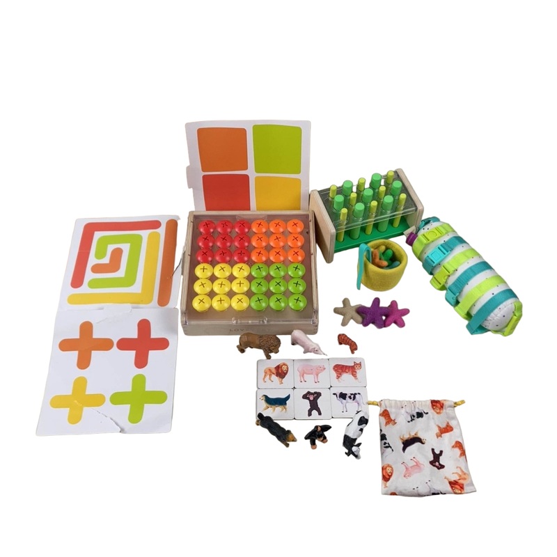 Lovevery The Companion Play Kit