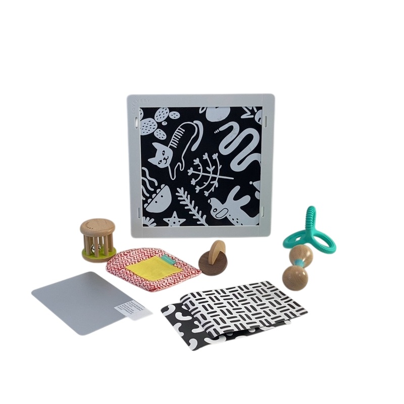 Lovevery The Charmer Play Kit