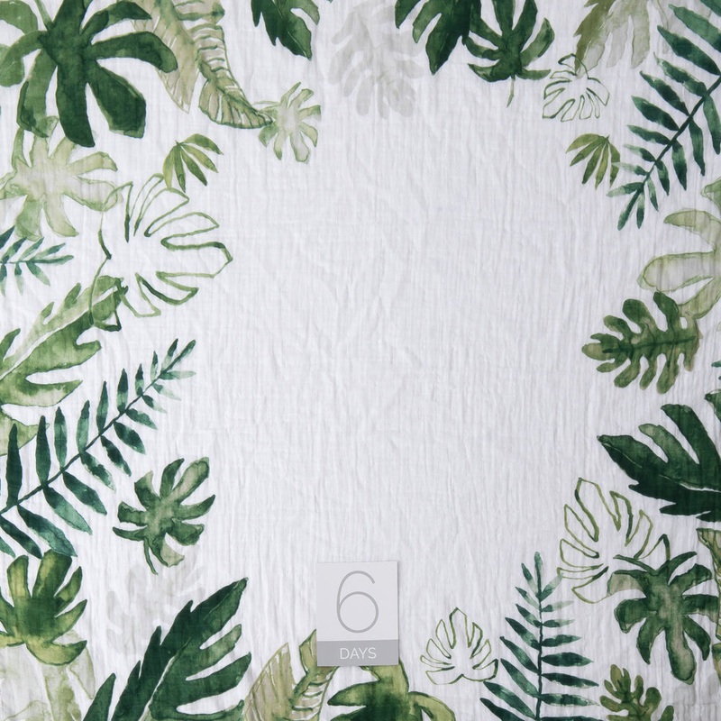 Little Unicorn Photo Blanket – Tropical Leaf