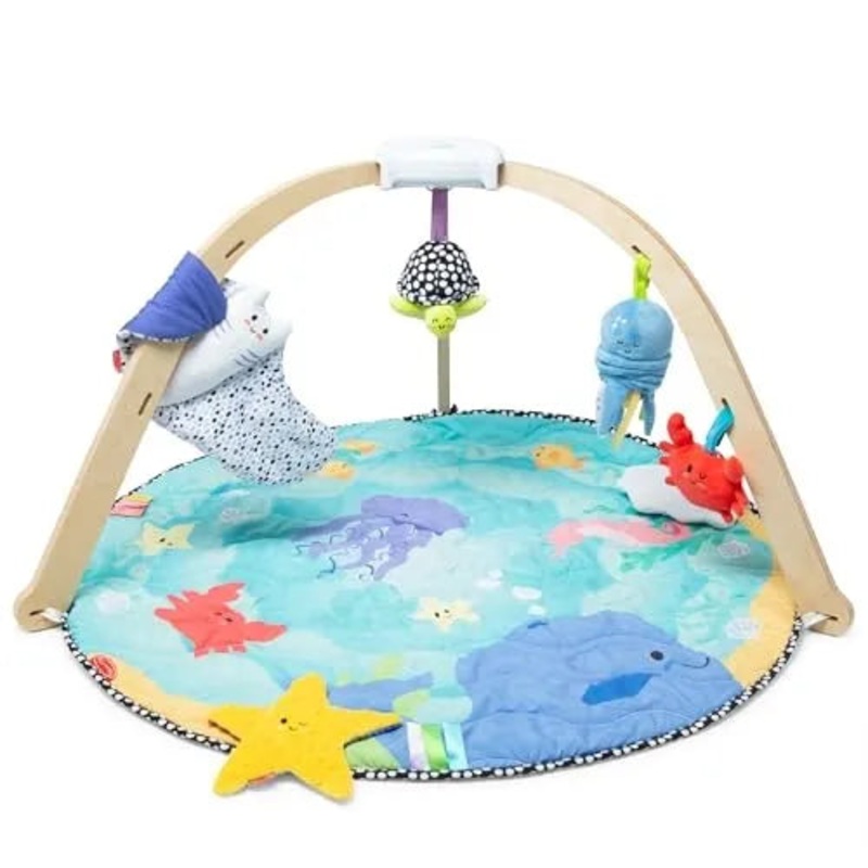 Ocean Easy-Fold Play Gym Developmental Toy (See Description)