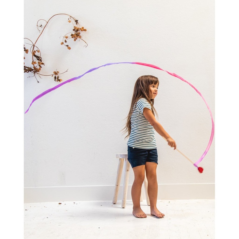 Silk Streamer Butterfly