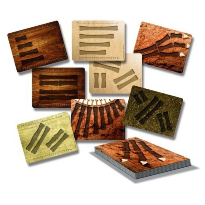 Dinosaur Bones Match & Measure Activity Cards