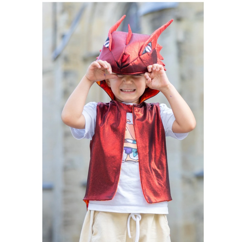 The All Day Everyday Dragon Vest 3 T/4 T