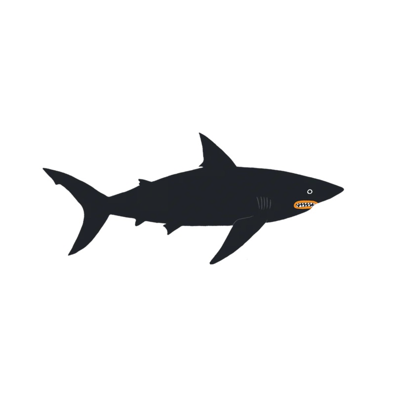 Temporary Tattoo Pair – Dark Waters Shark