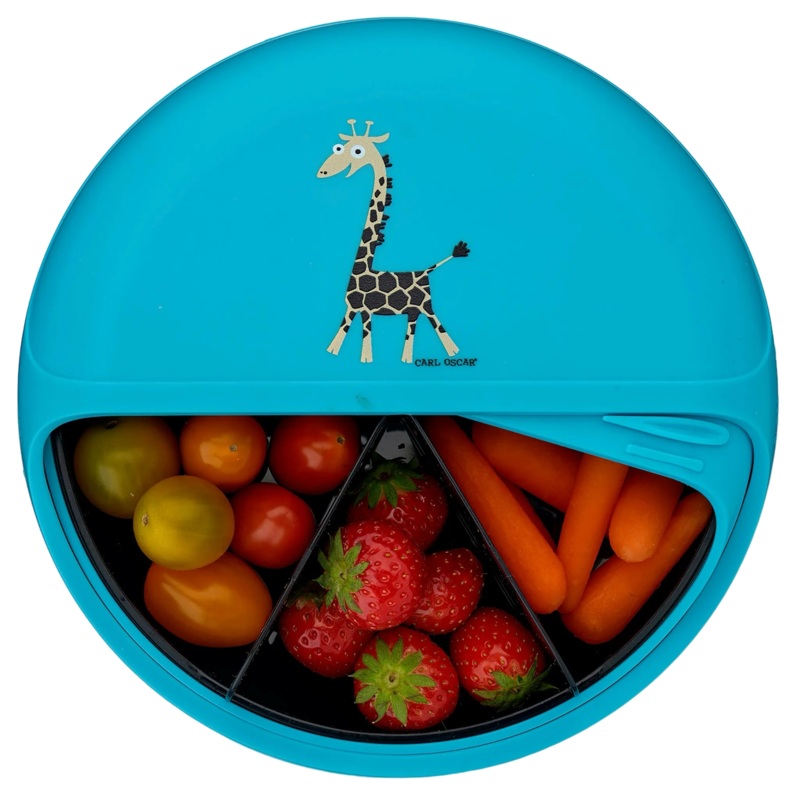 Carl Oscar – BentoDISC | Turquoise Giraffe