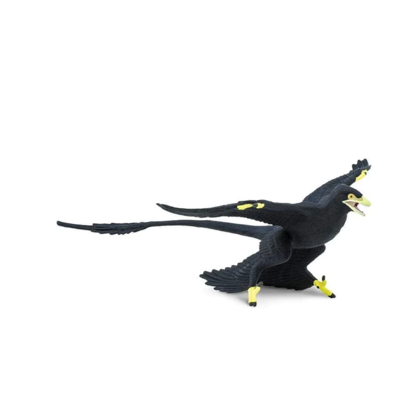 MICRORAPTOR