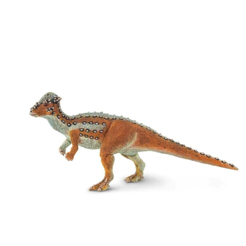 PACHYCEPHALOSAURUS