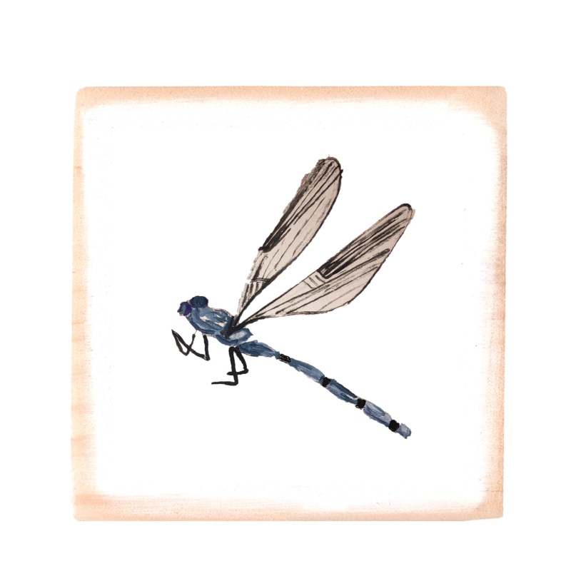 dragonfly square wood block