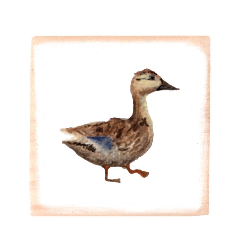 mallard duck square wood block